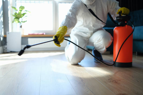 Trusted Hoarding Cleanup service in Renault, IL - Four Month Blood Cleanse